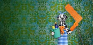 CLEANING-CTANew-opt